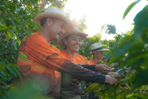 Campesinos que hacen parte de Negocios verdes de Corantioquia