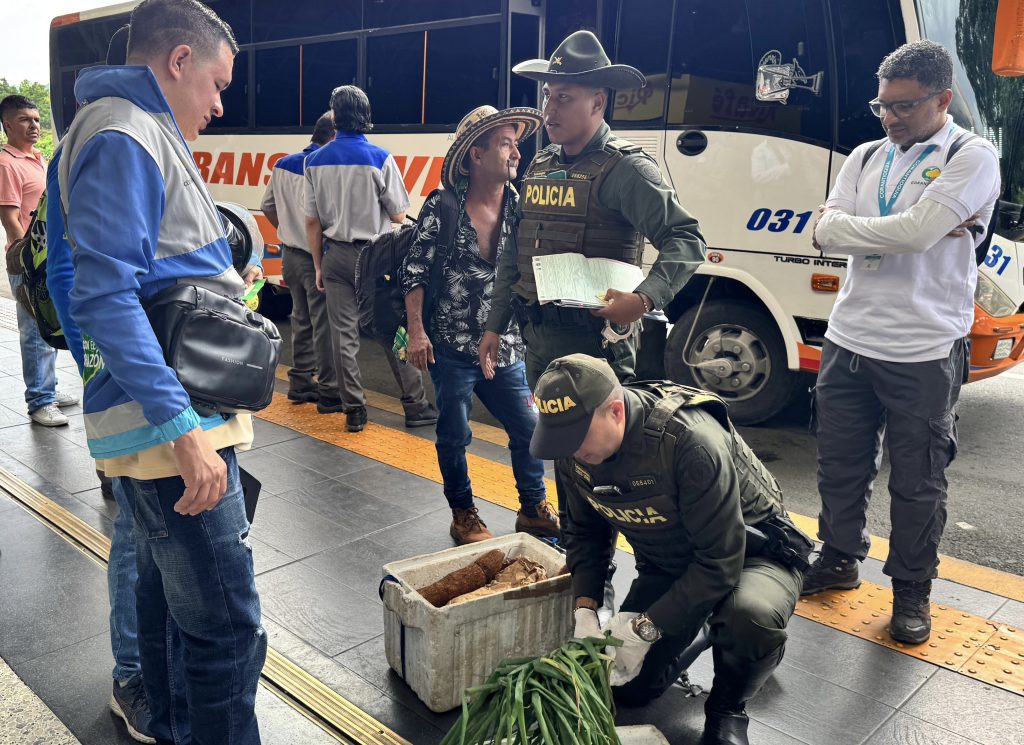 Campaña de Corantioquia spbre atropellamiento de fauna silvestre